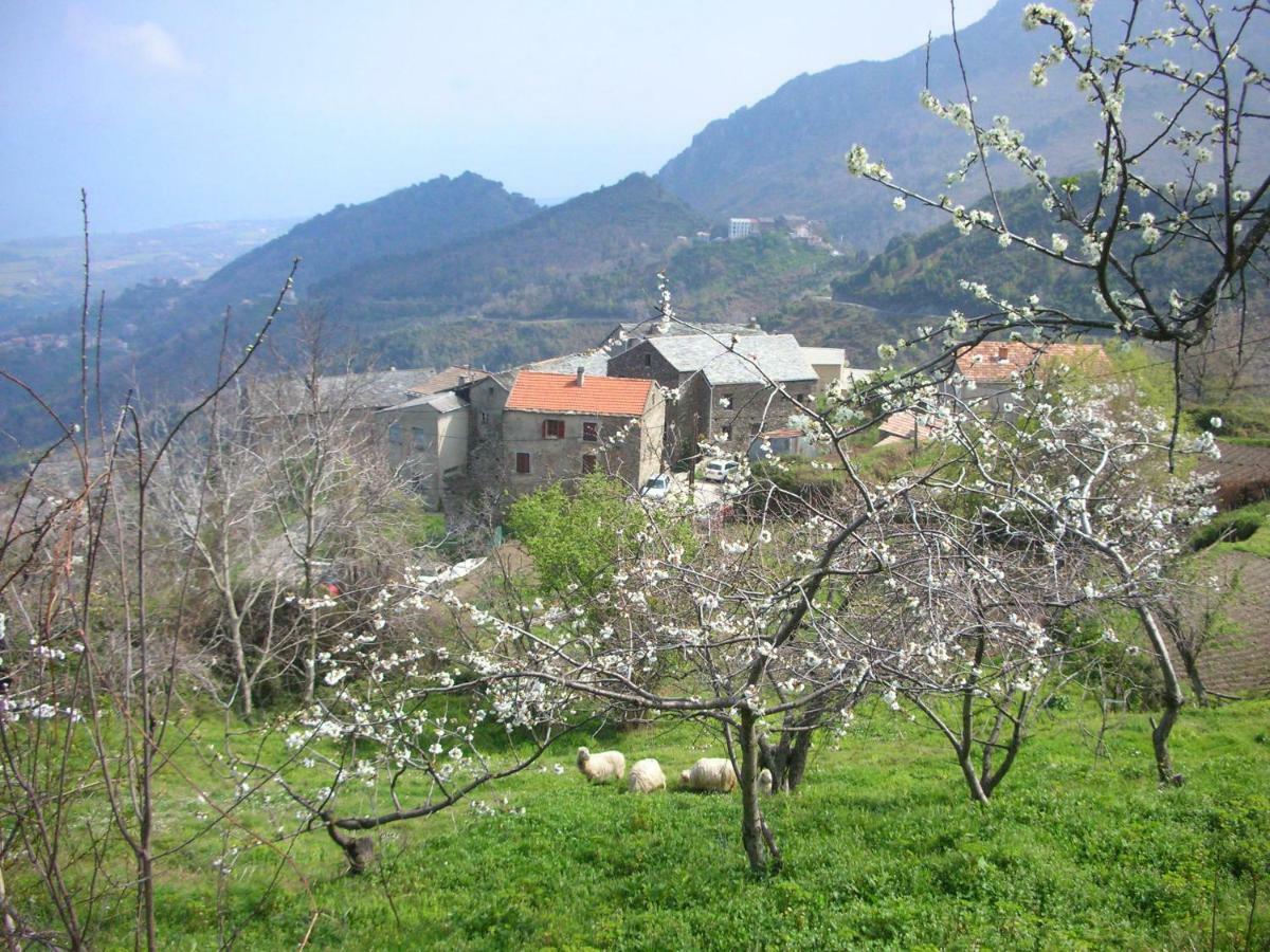 Apartment Sole E Ventu 30qm San-Giovanni-di-Moriani